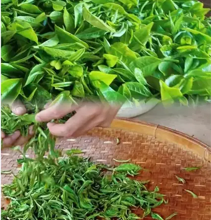 上海同城活动资讯网：解锁魔都美食打卡与夜生活的新潮玩法 🎉