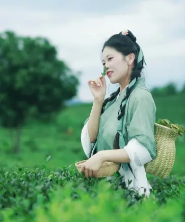 上海古镇游_朱家角放生桥_朱家角和枫泾古镇哪个更适合带对象一日游