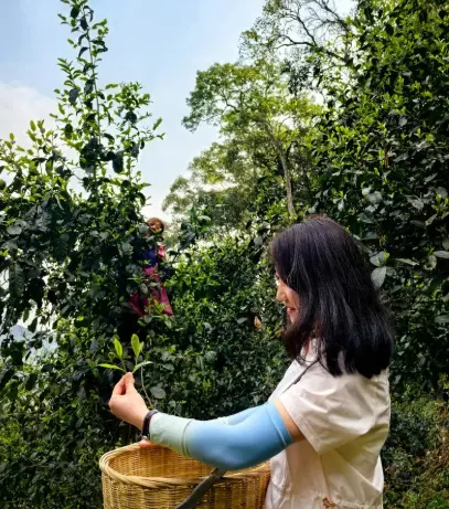 上海大宁国际-久光百货-夜购商圈：深夜狂欢购物天堂，你竟然还没去过？🌙