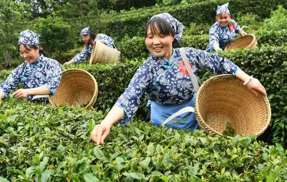 上海深夜网球场哪几家有灯光？夜场约球攻略，别再摸黑挥拍了🌚