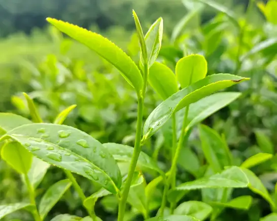 上海面具夜到底有多上头？周末解压新据点让灵魂彻底放飞🎭