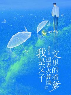 我是父子追妻火化场文里的渣爹