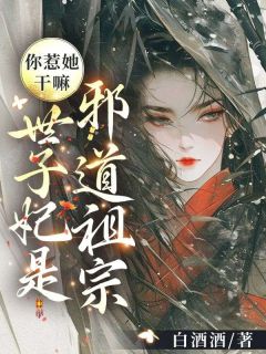 你惹她干吗？世子妃是正道祖宗