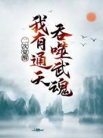 二次醒觉，我有通天吞噬武魂
