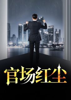 宦海尘凡
