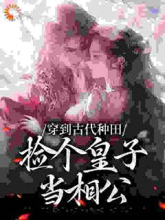 穿到现代耕田，捡个皇子当相公