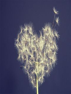 舔狗收受接管统统后她慌了