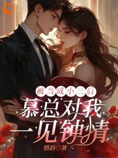 被当做小三后，慕总对我一见倾慕