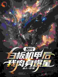 左券白板机甲后，我肉身爆星