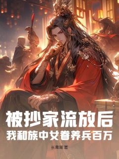 被抄家放逐后，我和族中女眷养兵百万！