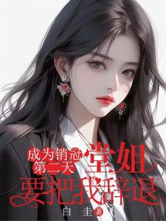 成为销冠第二天，堂姐要把我解雇全文超卓章节在线浏览（王雪燕王文秀）