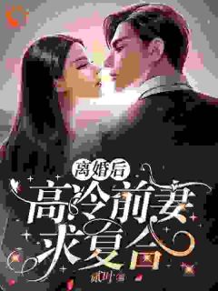 《仳离后，高冷前妻求复合》小说章节收费试读 江南唐晶朱露莎小说全文
