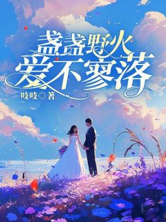 盏盏野火爱不零落