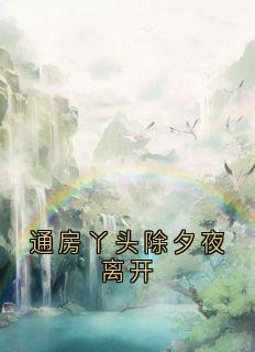 通房丫头大年节夜分开