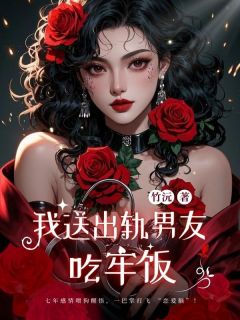 我送出轨男伴侣吃牢饭