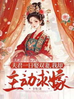 良人一日娶双妻，我却自动求嫁