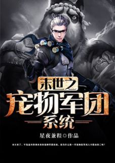 第1章宠物军团体系