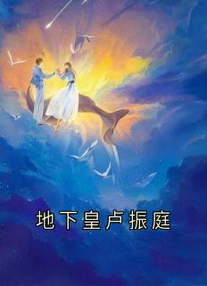 公开皇卢振庭