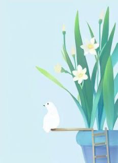 若是爱能够重来