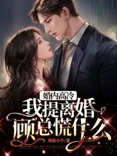 婚内高冷，我提仳离顾总慌甚么