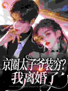 京圈太子爷装穷？我仳离了