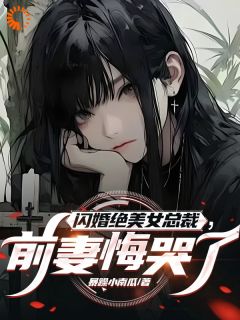 闪婚绝美男总裁，前妻悔哭了