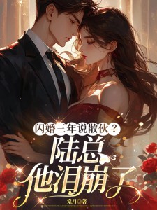 闪婚三年说拆伙？陆总他泪崩了