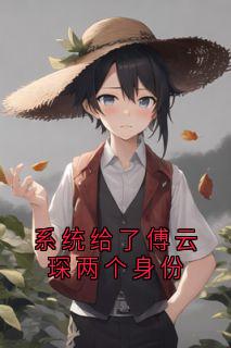 体系给了傅云琛两个身份