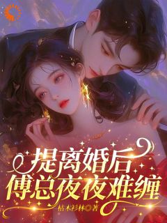提仳离后，傅总夜夜难缠