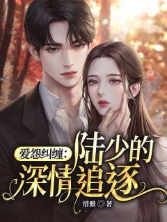 爱怨胶葛：陆少的密意追赶