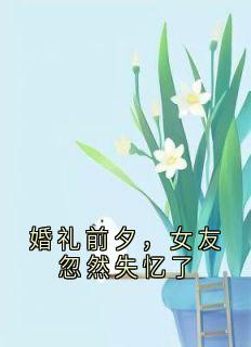 婚礼前夜，女友突然失忆了
