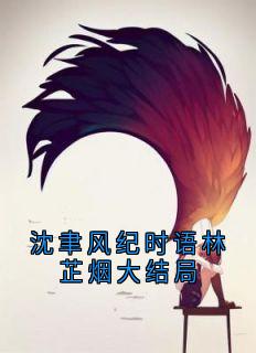 沈聿风纪时语林芷烟大终局