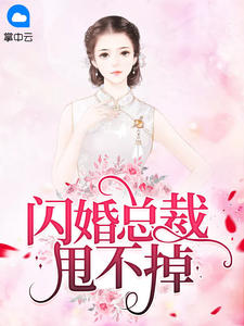 闪婚总裁甩不掉陌西染周延琛小说完全篇在线浏览