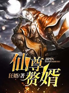 极品仙尊赘婿