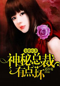 宠婚夜袭：奥秘总裁有点坏