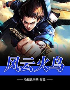 风波火鸟
