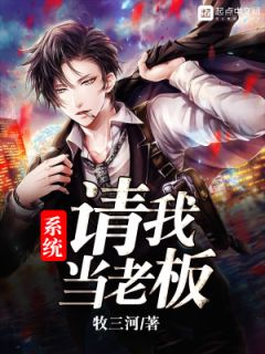 体系请我当老板