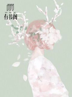 神医丑妃倾全国