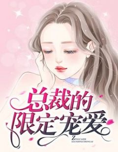 总裁的限制溺爱