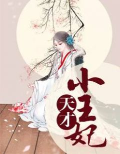 天赋小王妃