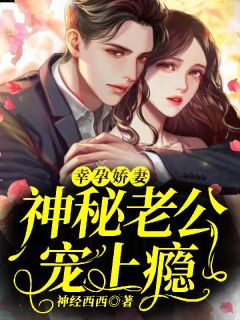 幸孕娇妻，奥秘老公宠上瘾沈晏晏战北枭小说收费试读全文章节目次出色章节