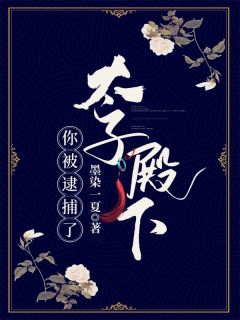 太子殿下你被拘系了