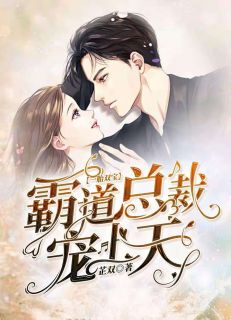 一胎双宝：王道总裁宠上天