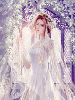 《慕师长教师复婚路漫漫》辛语慕斯砚大终局收费浏览