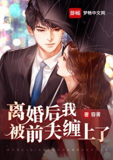 仳离后我被前夫缠上了