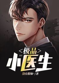 极品小大夫