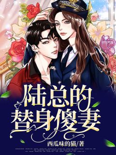 陆总的替人傻妻