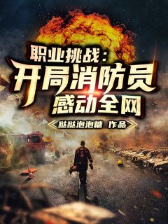 职业挑衅：残局救火员，打动全网
