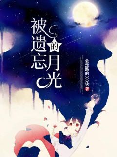 被忘记的月光