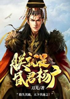 朕便是昏君杨广